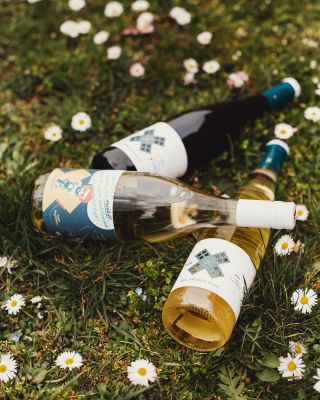 Vítání jara se blíží .. 🐣🌷🐰 Tož jestli chceš mít doma na Velikonoce naše víno, objednávej nejpozději do 27. 3. ´24 do...